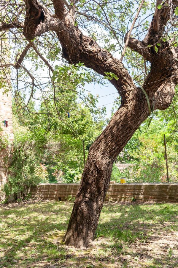 Urbino Experienceアパートメント エクステリア 写真